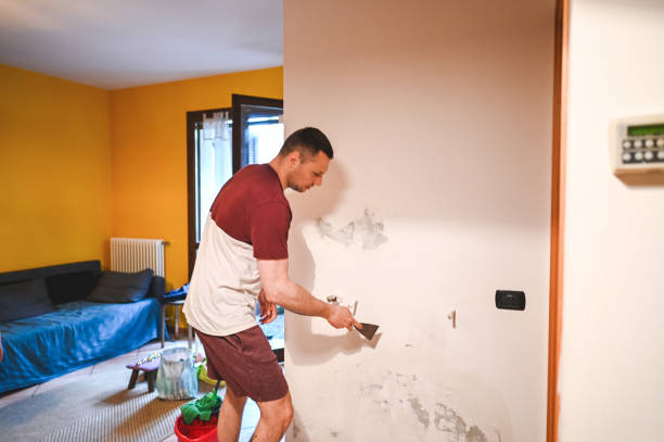 Best Commercial Mold Remediation in Ely, MN